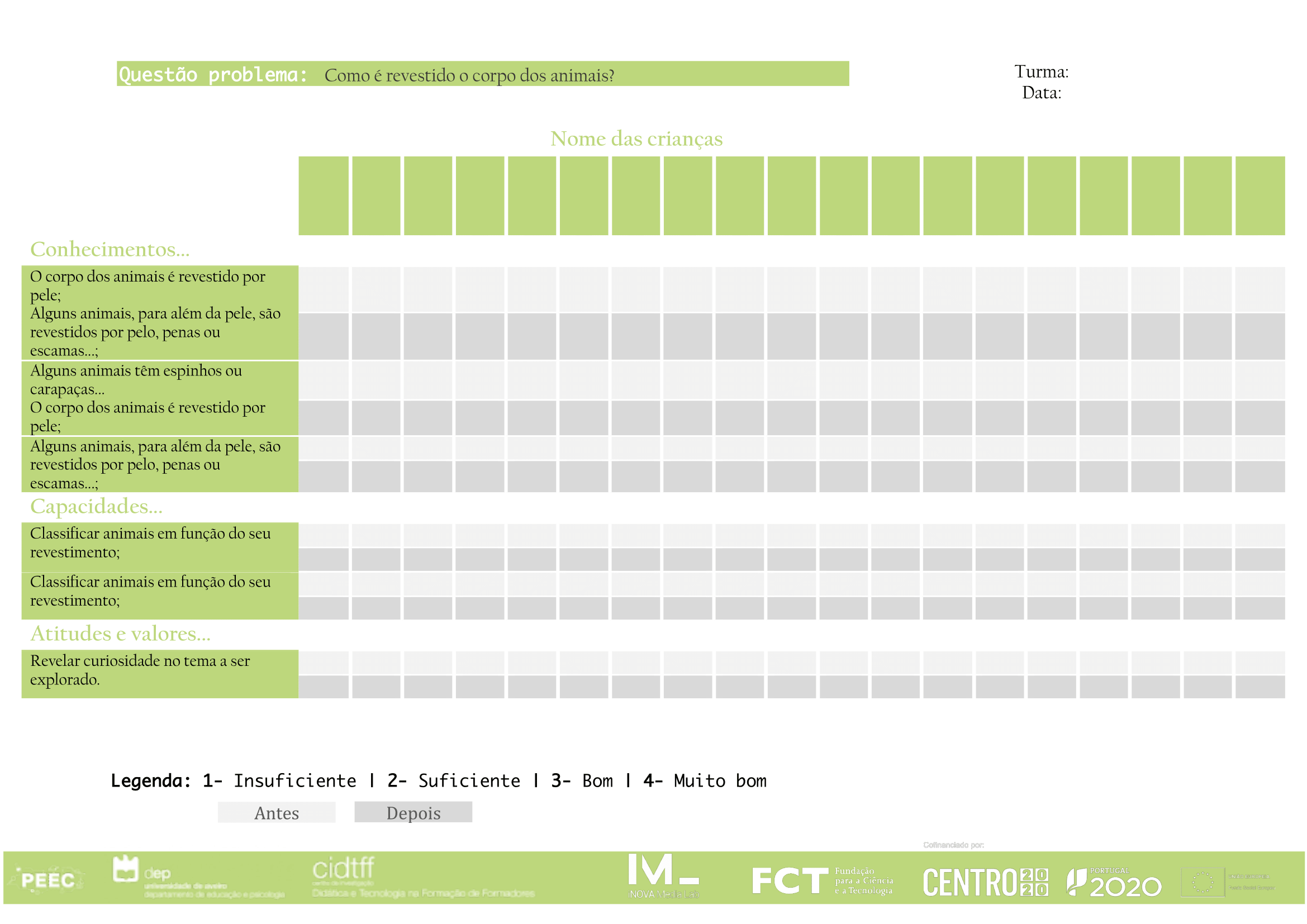imagem do instrumento de registo de avaliação