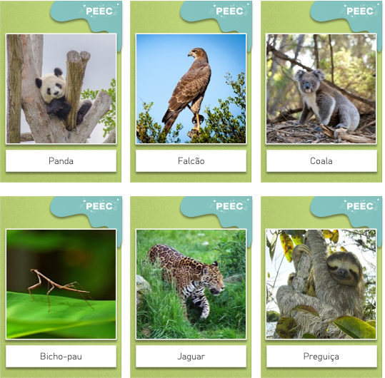 imagem das cartas e caixas da atividade