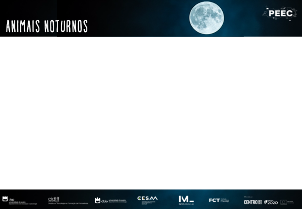 imagem das bases da atividade