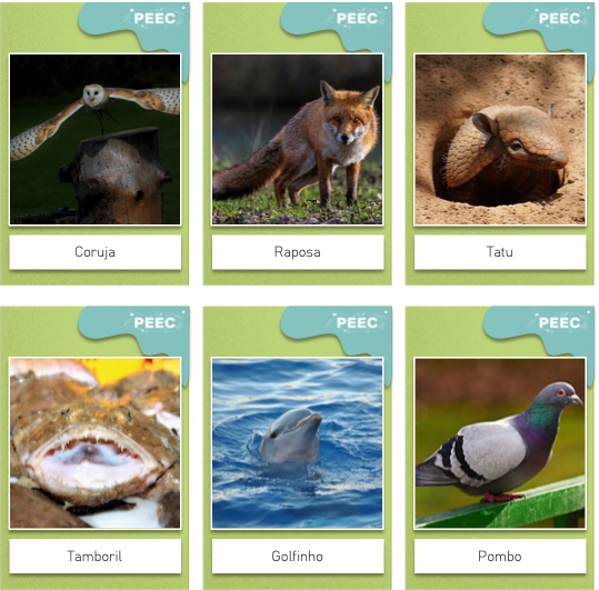 imagem das cartas e caixas da atividade