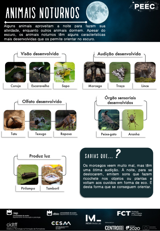 imagem do cartaz da atividade