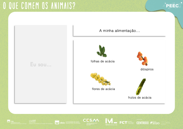 imagem das bases da atividade