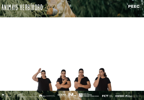 imagem das bases da atividade