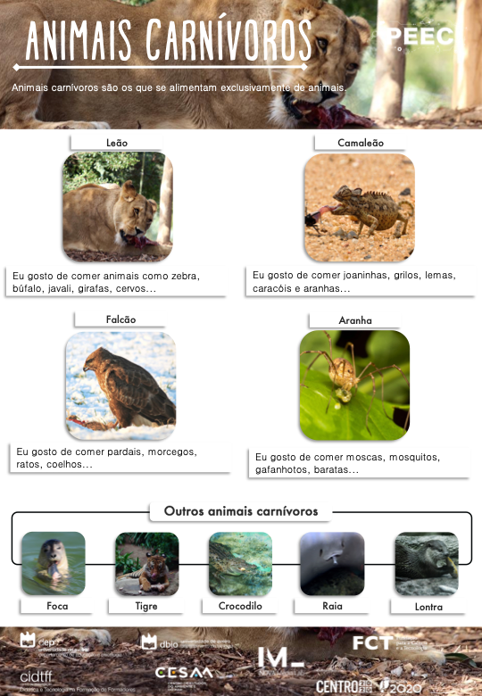 imagem do cartaz da atividade