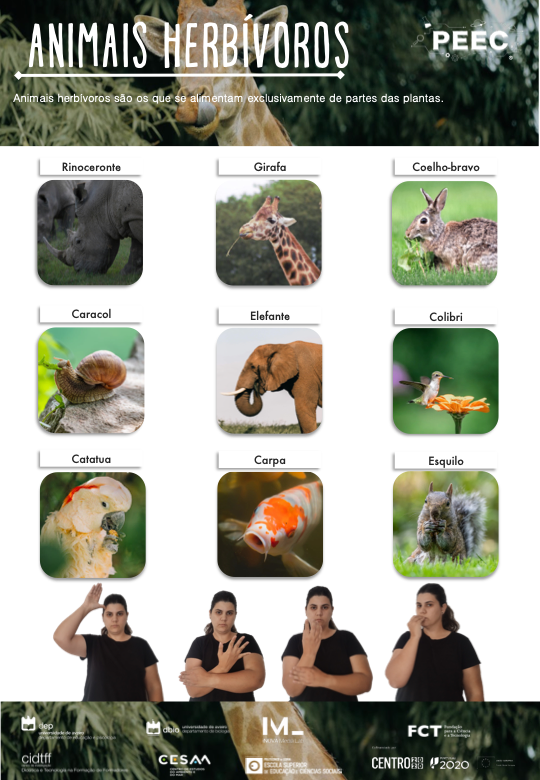 imagem do cartaz da atividade