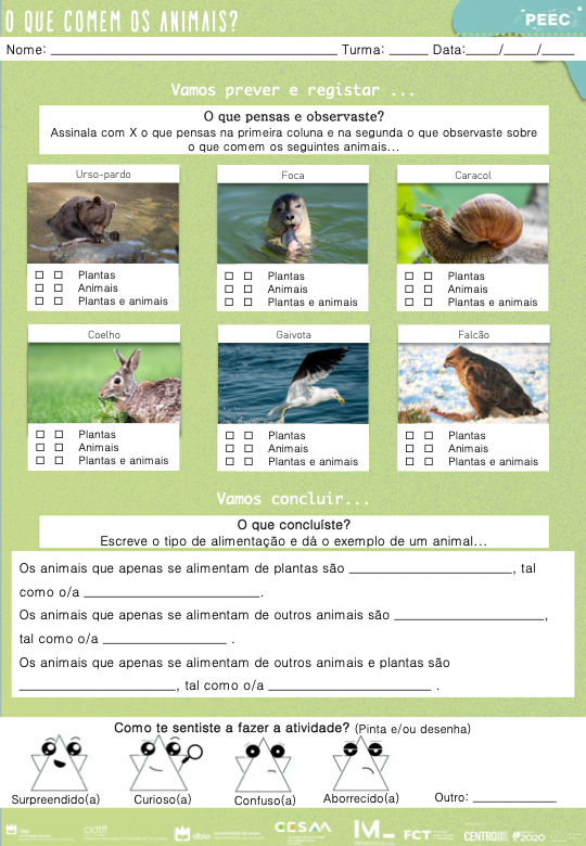 imagem das cartas e caixas da atividade