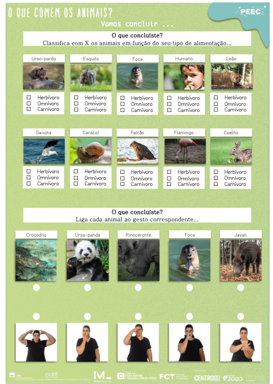 imagem das cartas e caixas da atividade