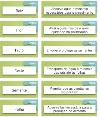 imagem das bases da atividade