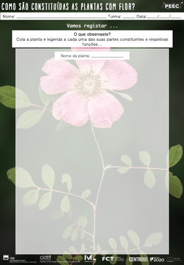 imagem das cartas e caixas da atividade