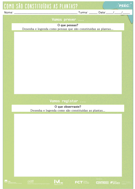 imagem das cartas e caixas da atividade