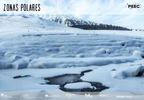 imagem das bases da atividade