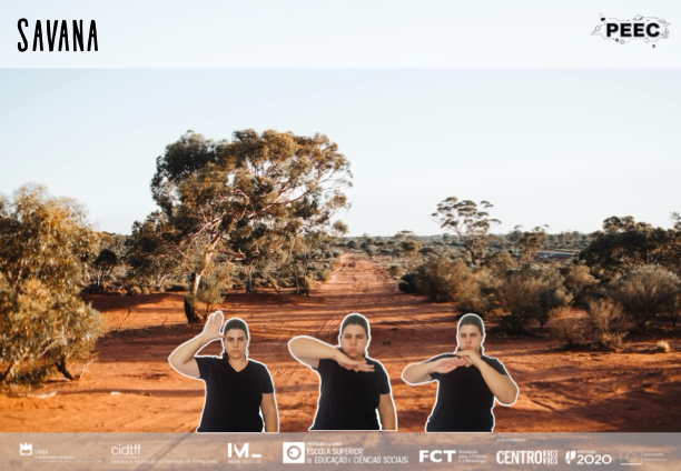 imagem das bases da atividade