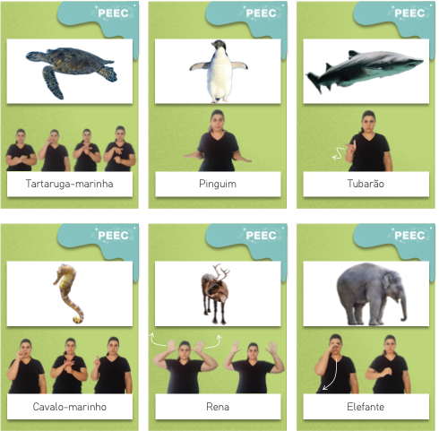 imagem das cartas e caixas da atividade