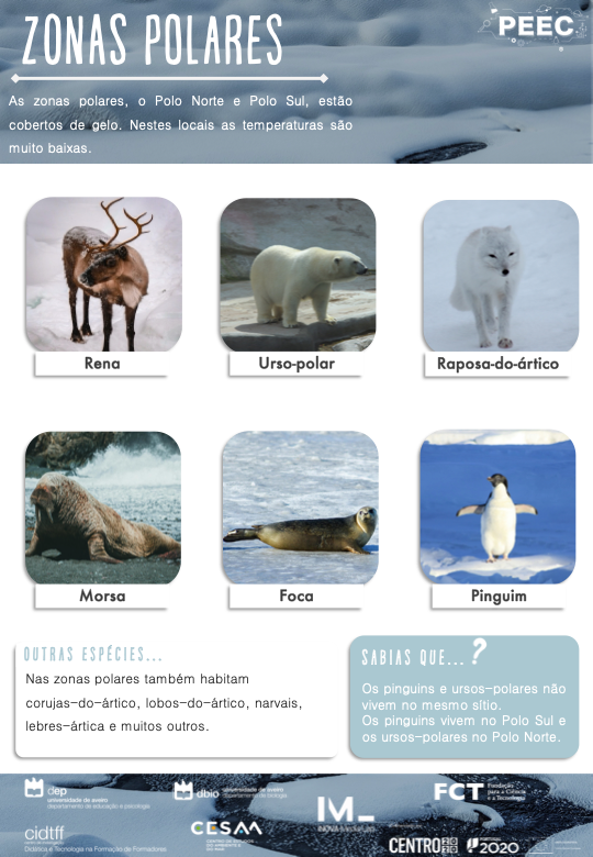 imagem do cartaz da atividade