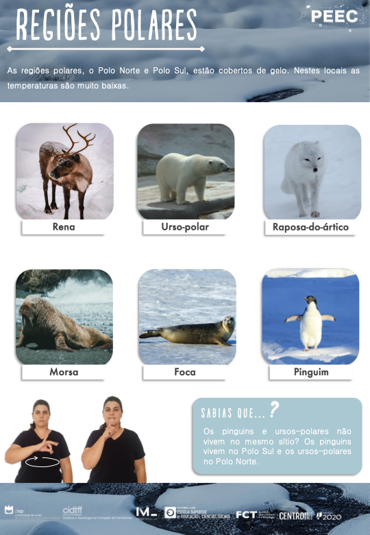 imagem do cartaz da atividade