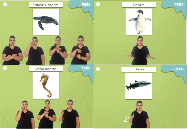 imagem do cartaz da atividade