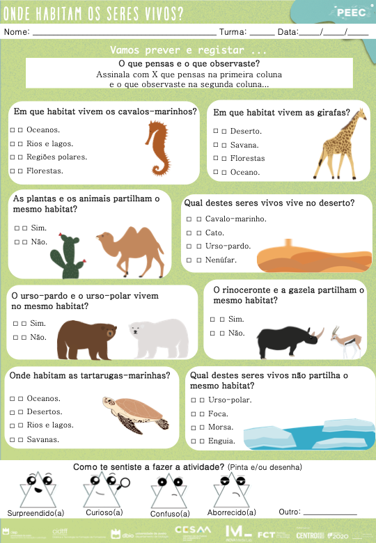 imagem das cartas e caixas da atividade