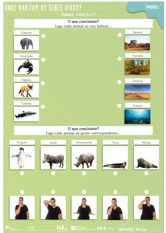 imagem das cartas e caixas da atividade