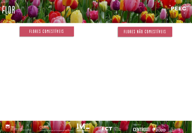 imagem das bases da atividade