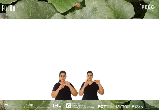 imagem das bases da atividade