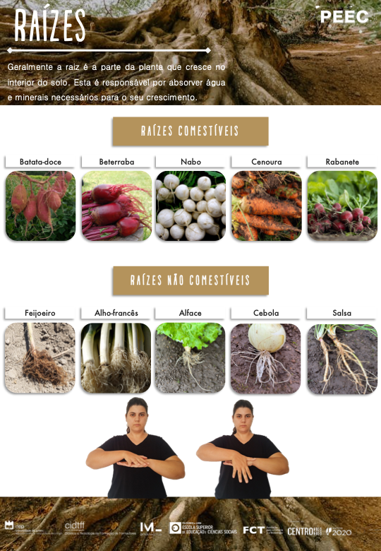 imagem do cartaz da atividade