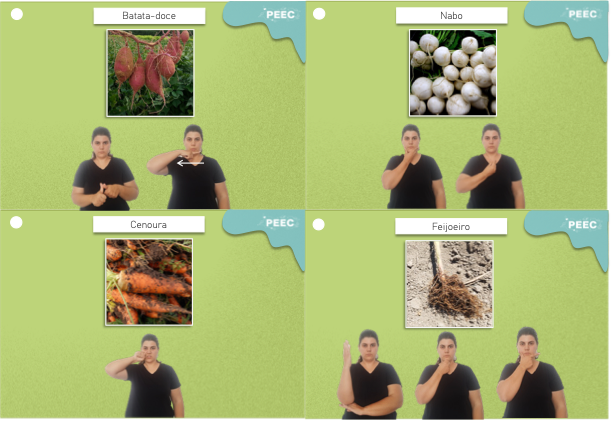 imagem do cartaz da atividade