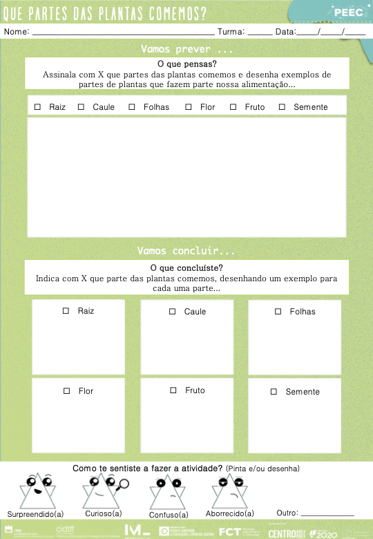 imagem das cartas e caixas da atividade