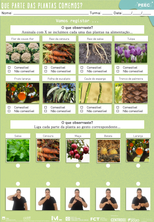 imagem das cartas e caixas da atividade