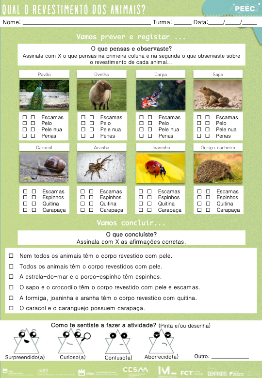 imagem das cartas e caixas da atividade