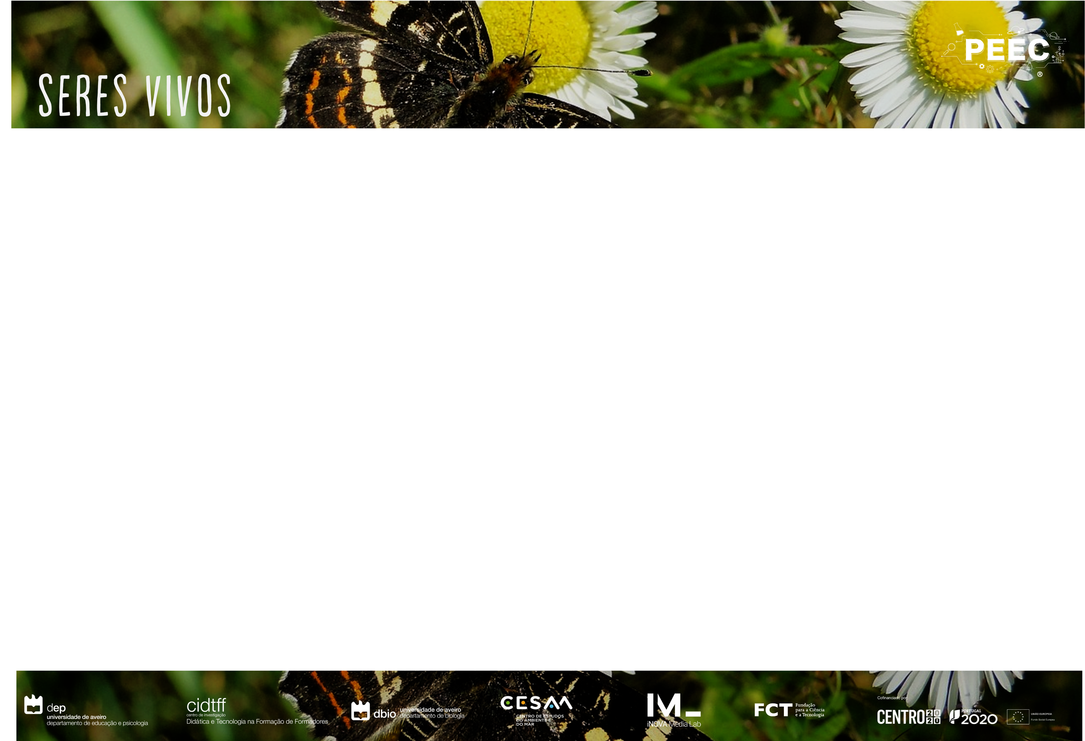 imagem das bases da atividade