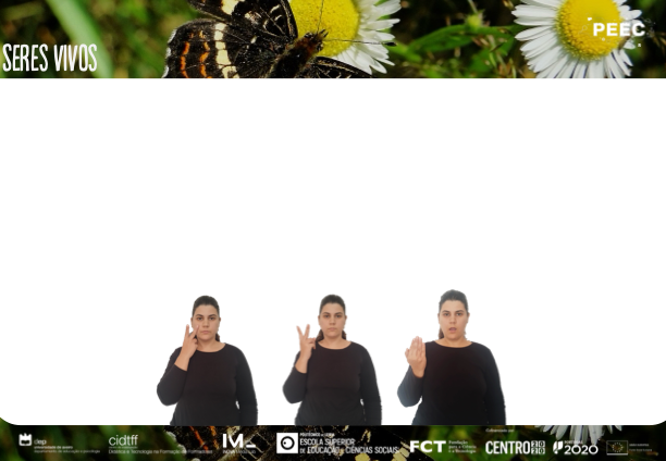 imagem das bases da atividade