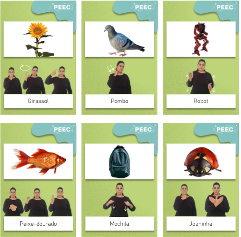 imagem das cartas e caixas da atividade