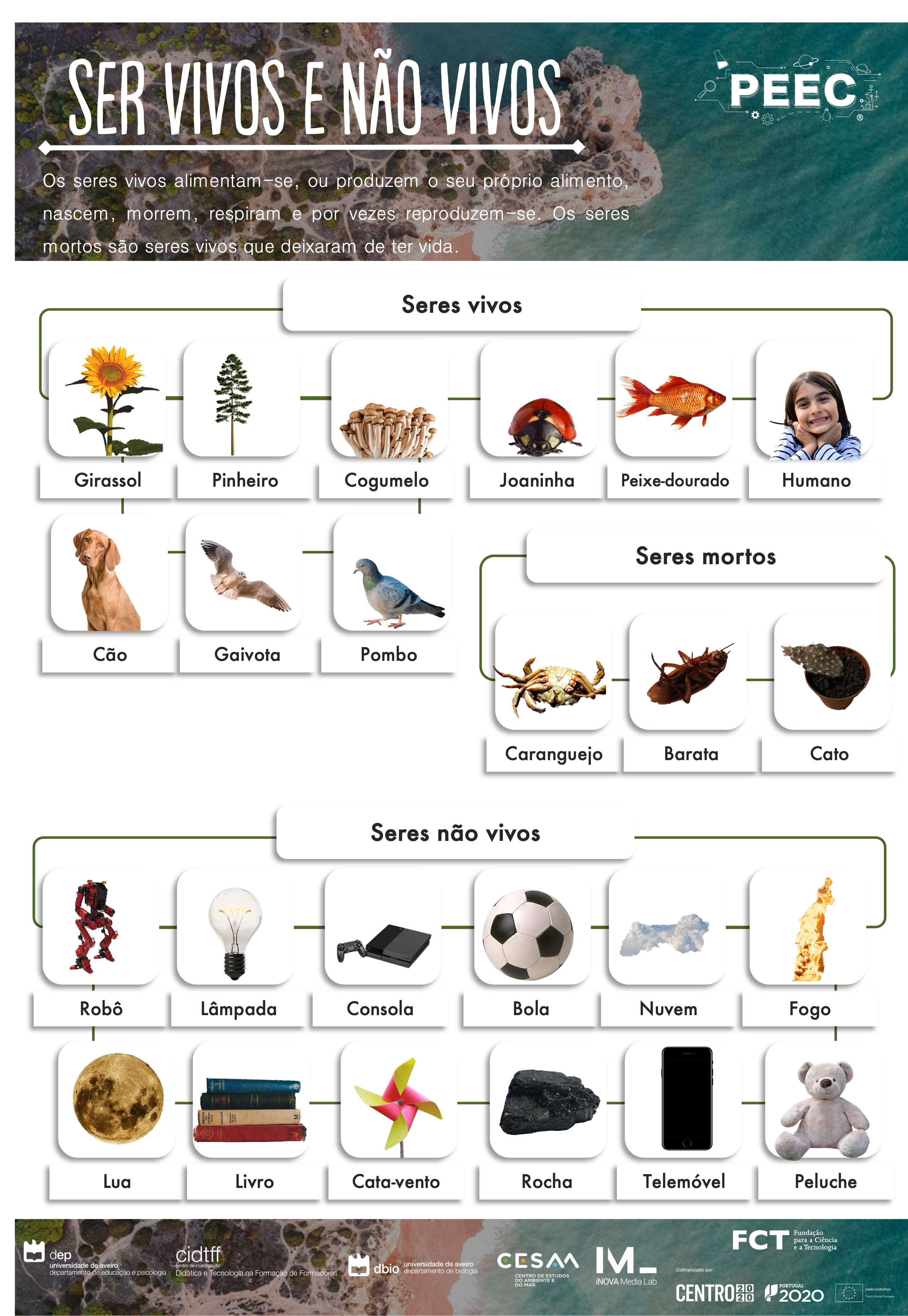 imagem do cartaz da atividade