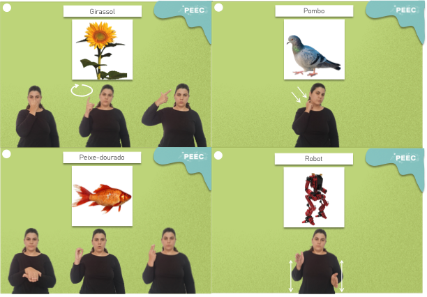 imagem do cartaz da atividade