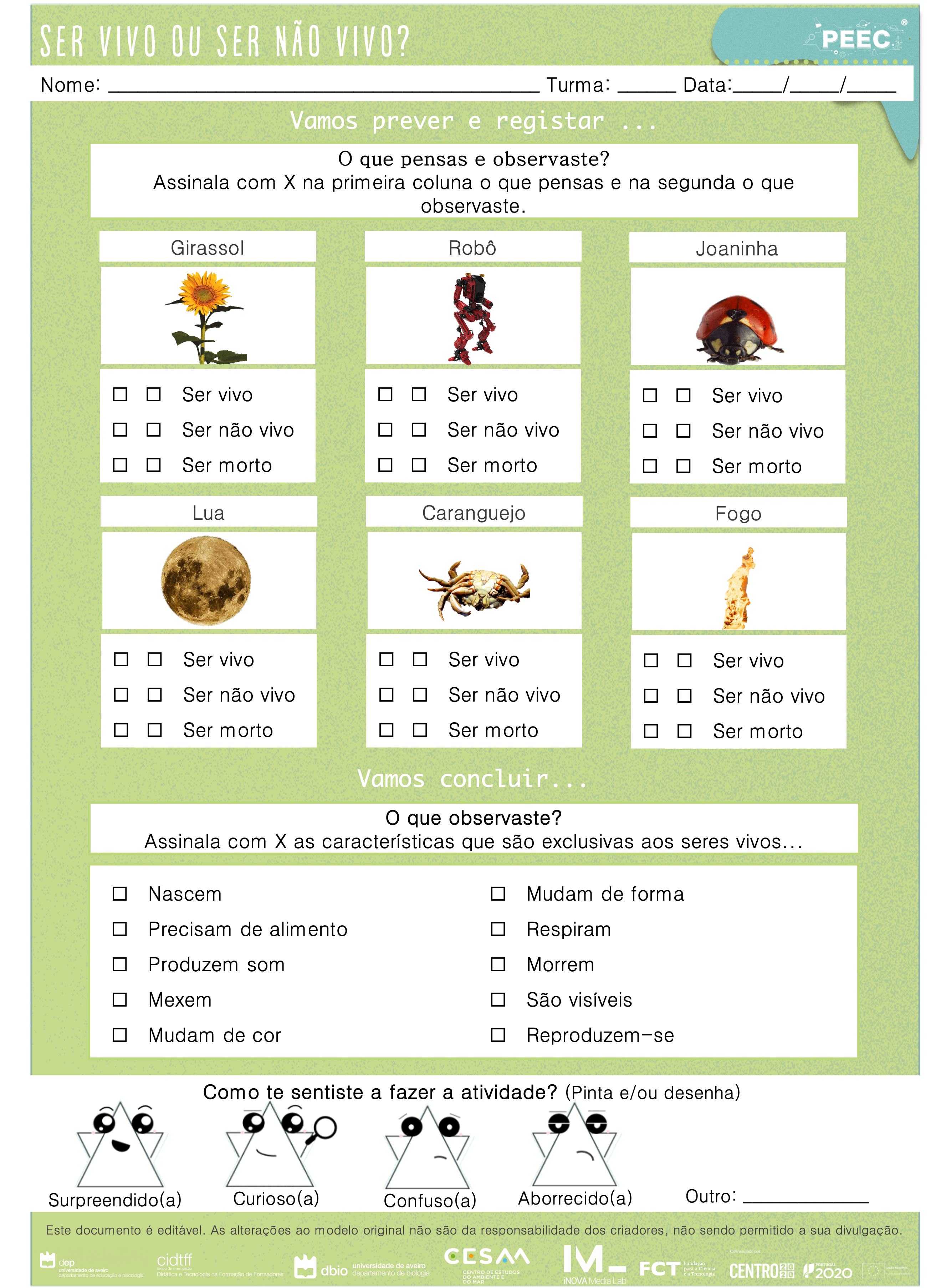 imagem das cartas e caixas da atividade