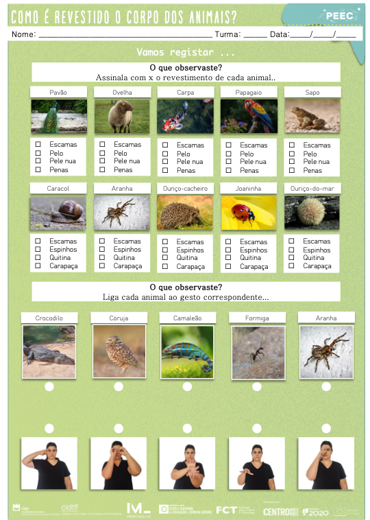 imagem das cartas e caixas da atividade