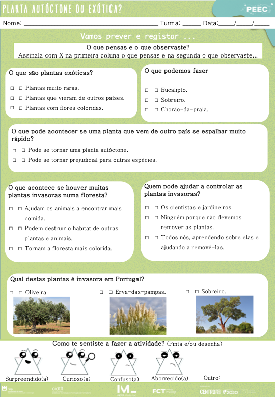 imagem das cartas e caixas da atividade