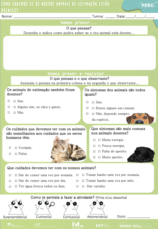 imagem das cartas e caixas da atividade