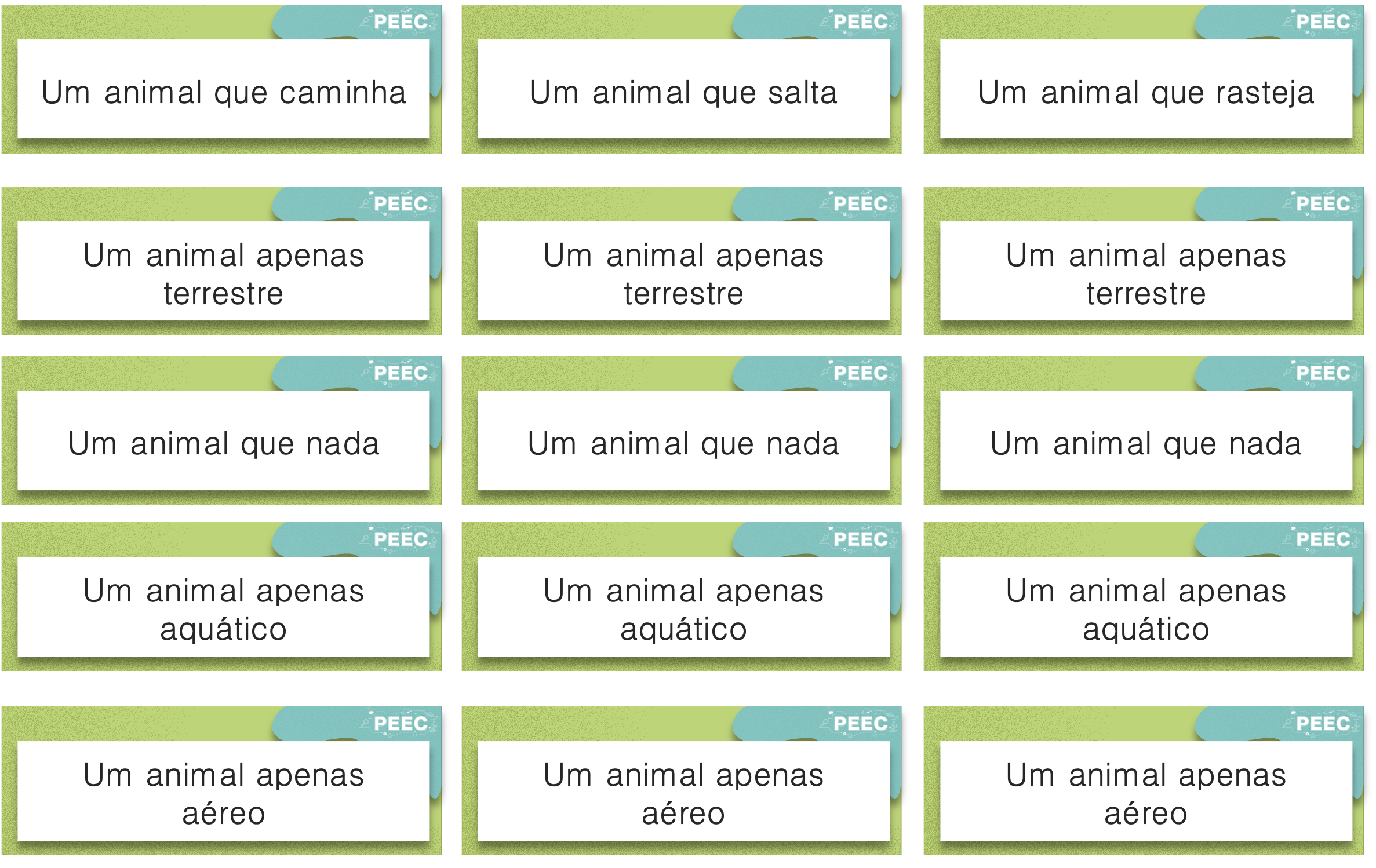 imagem das cartas e caixas da atividade