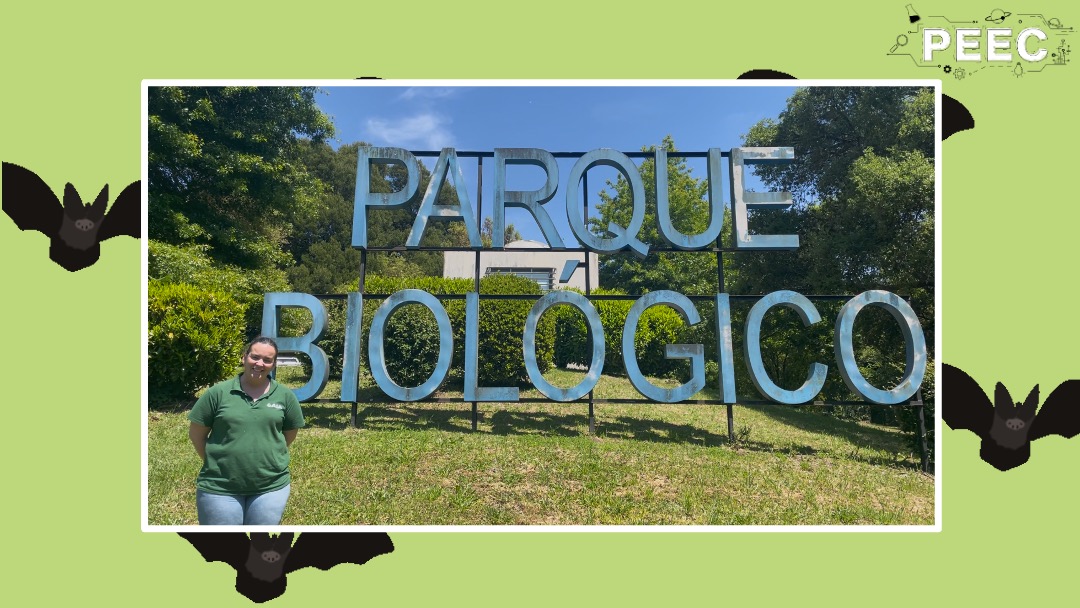 imagem do video da cienstista