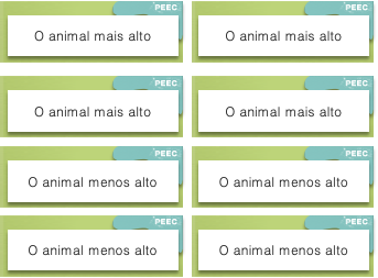 imagem das cartas e caixas da atividade