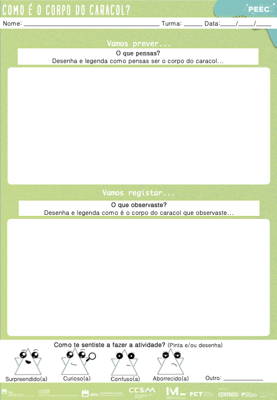 imagem das cartas e caixas da atividade