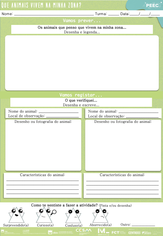 imagem das cartas e caixas da atividade