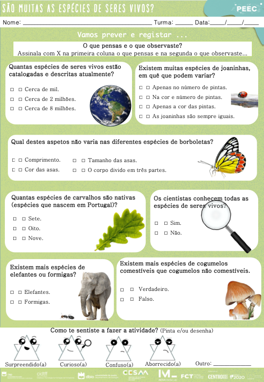 imagem das cartas e caixas da atividade