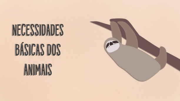 imagem do video da cienstista