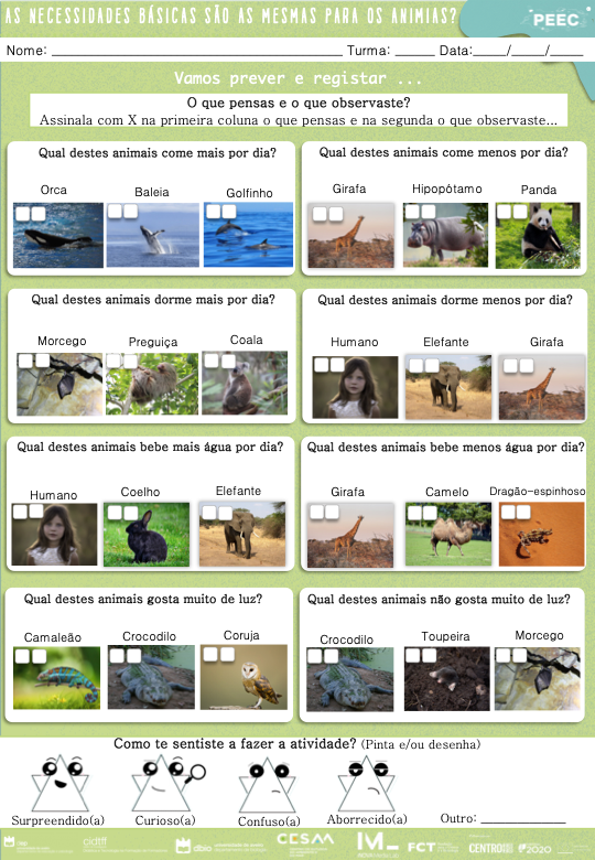 imagem das cartas e caixas da atividade