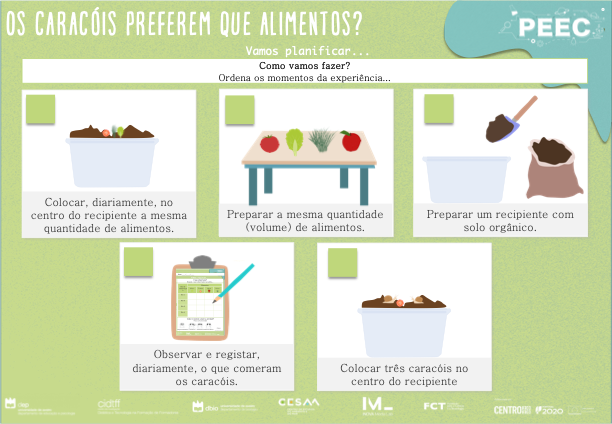 imagem das cartas e caixas da atividade