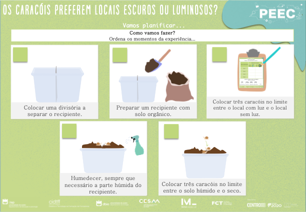 imagem das cartas e caixas da atividade