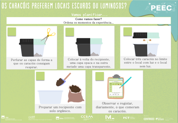 imagem das cartas e caixas da atividade