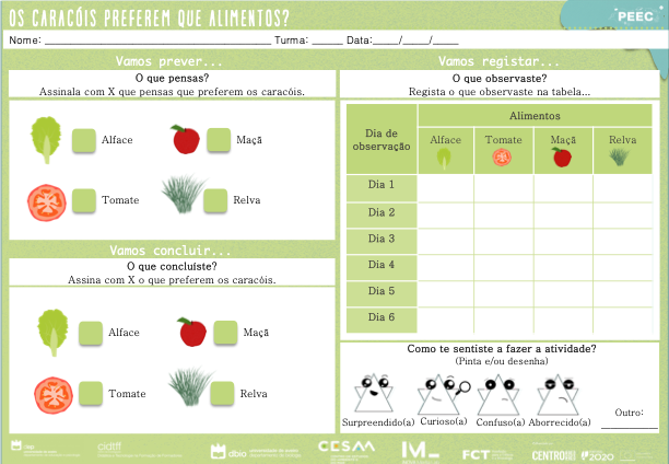 imagem das cartas e caixas da atividade